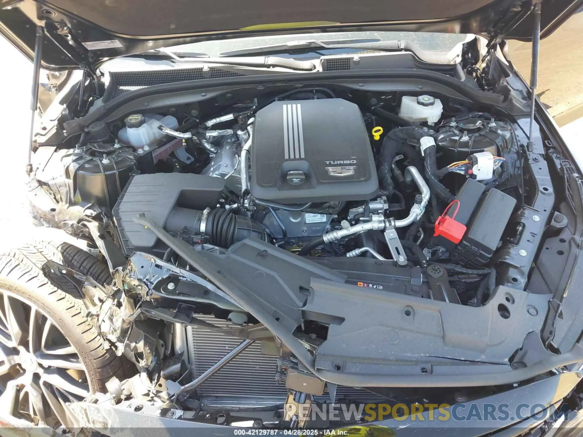 10 Photograph of a damaged car 1G6DT5RK2R0131439 CADILLAC CT5 2024
