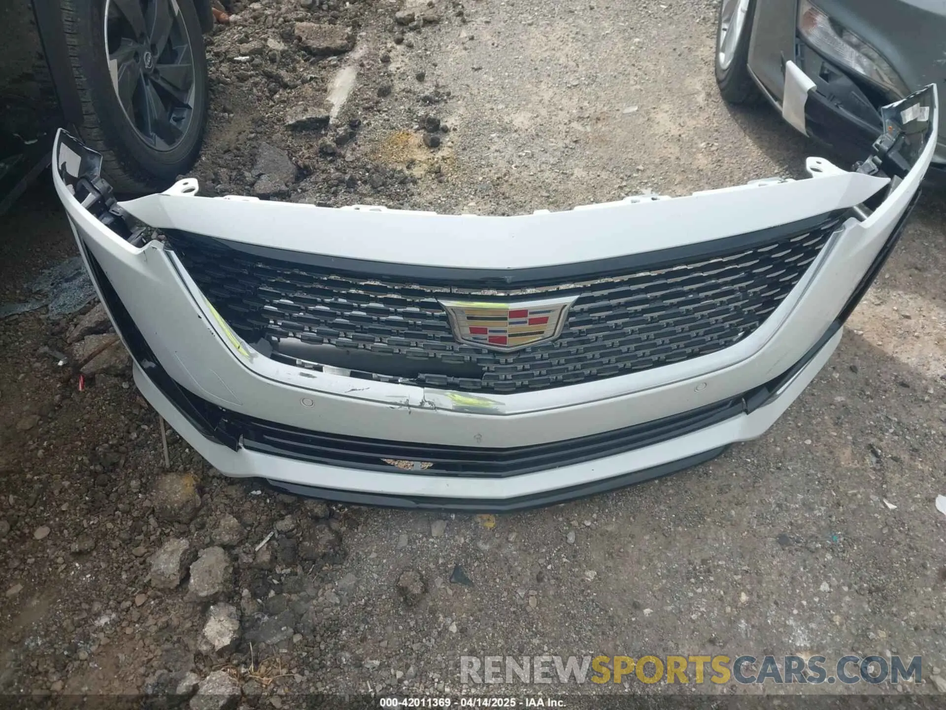12 Photograph of a damaged car 1G6DT5RW3R0129279 CADILLAC CT5 2024