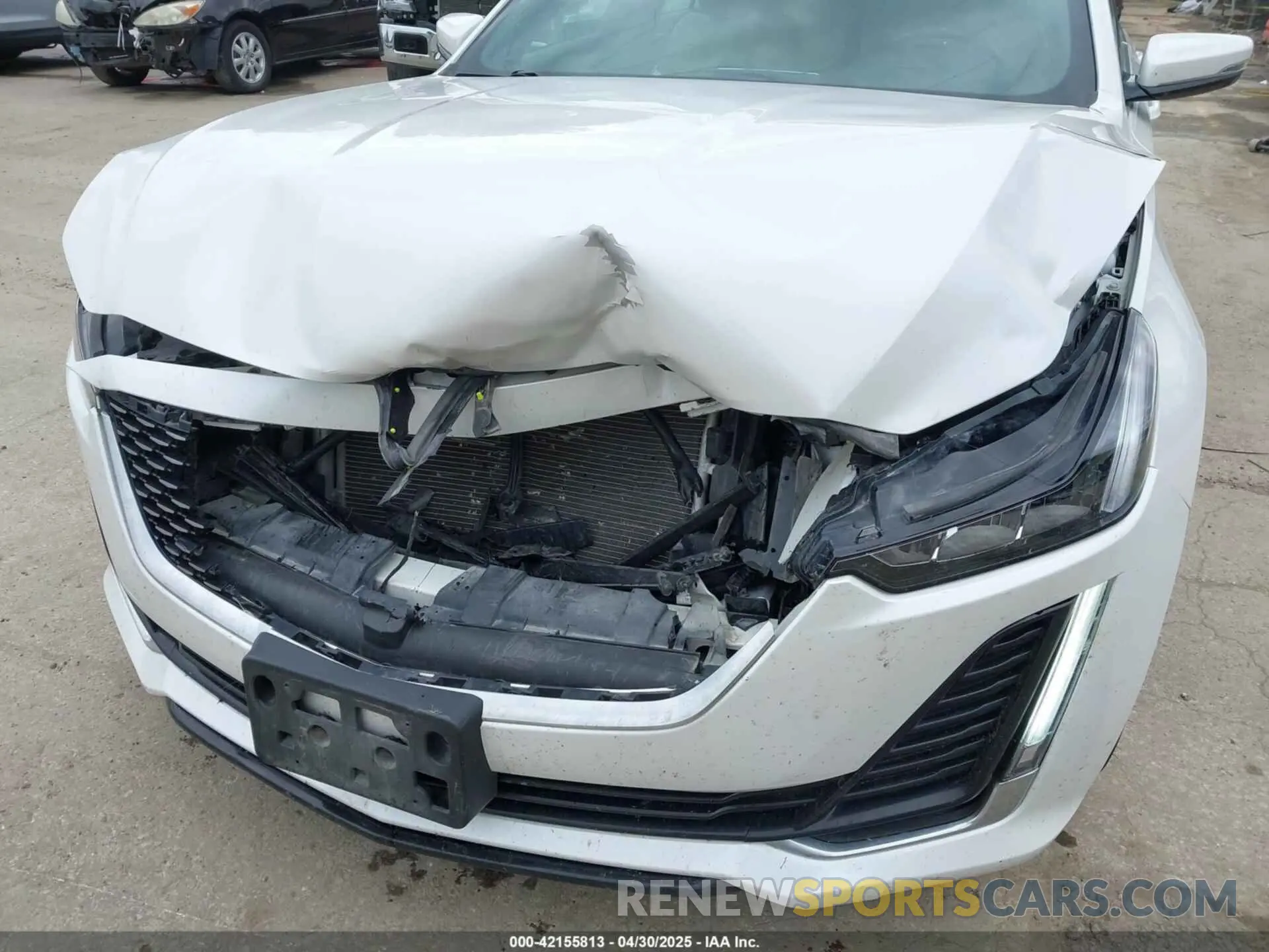 6 Photograph of a damaged car 1G6DX5RK5R0103588 CADILLAC CT5 2024