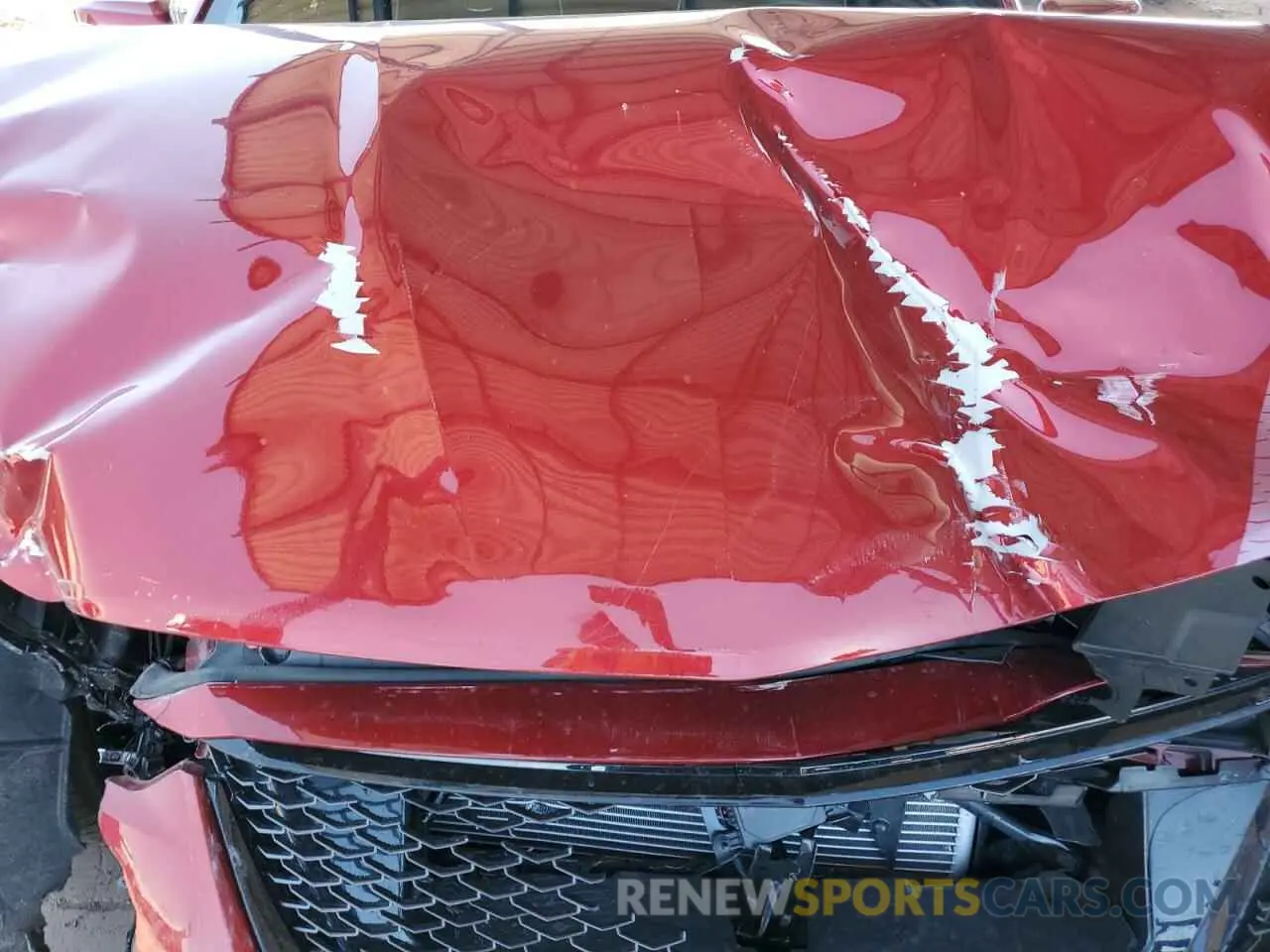 12 Photograph of a damaged car 1G6D35R62R0810954 CADILLAC CT5-V BLAC 2024