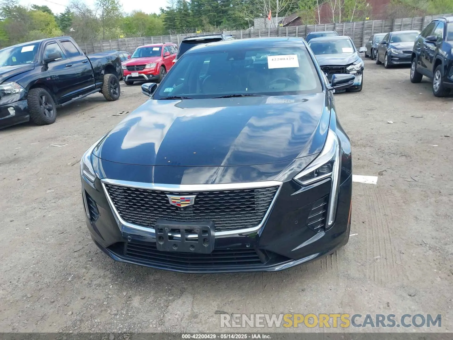 12 Photograph of a damaged car 1G6KD5RS3KU123885 CADILLAC CT6 2019