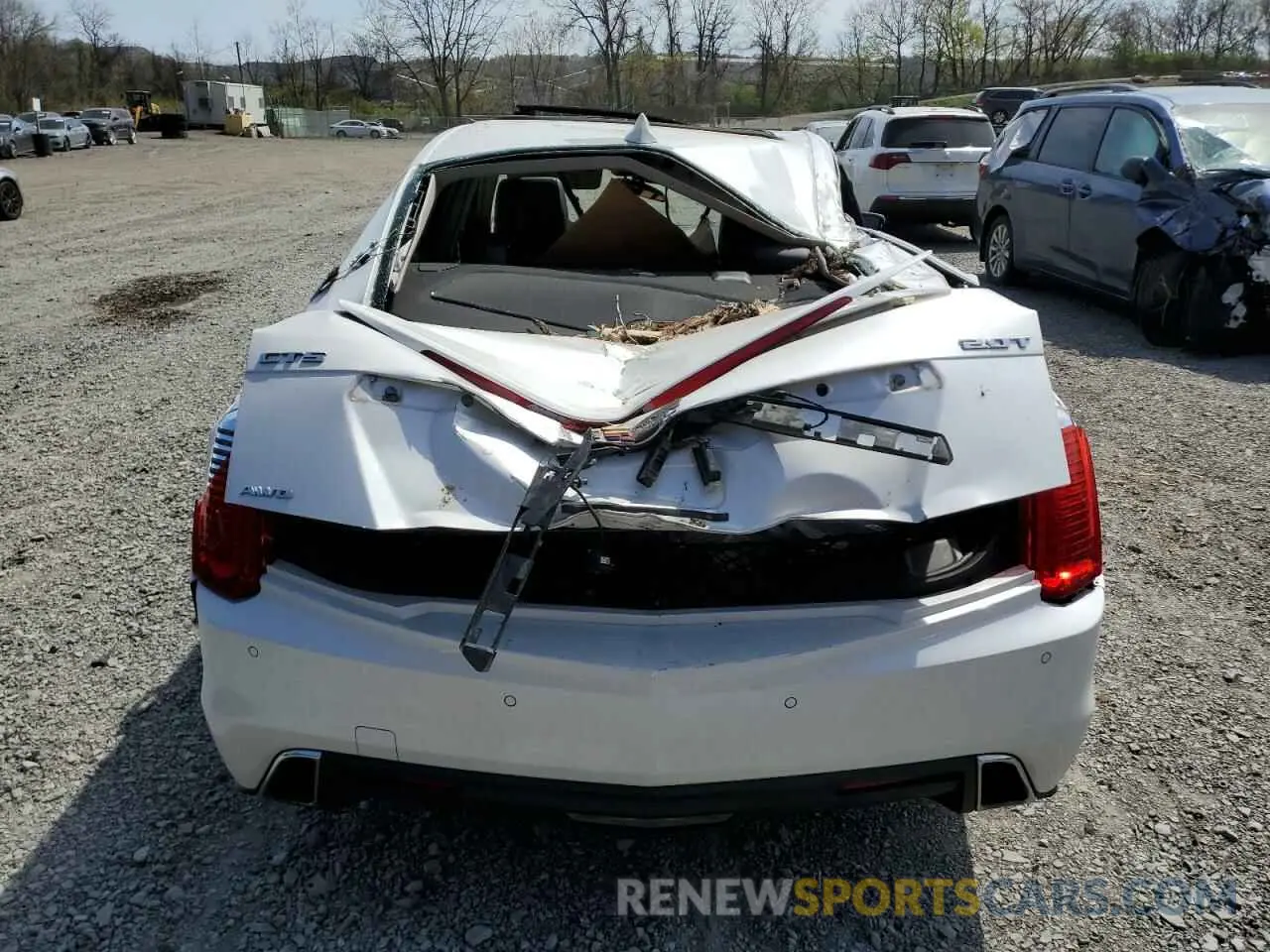6 Photograph of a damaged car 1G6AX5SX6K0120236 CADILLAC CTS 2019