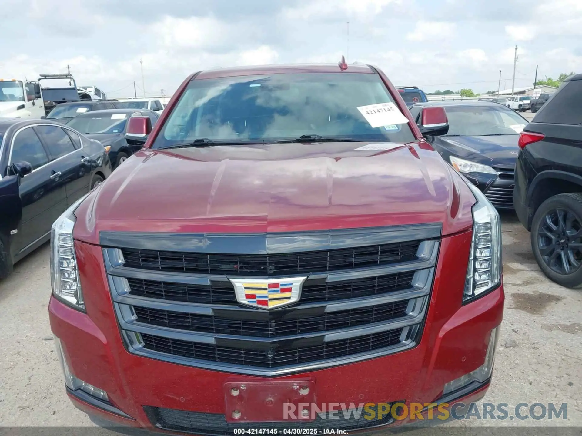12 Photograph of a damaged car 1GYS3BKJ7KR342801 CADILLAC ESCALADE 2019