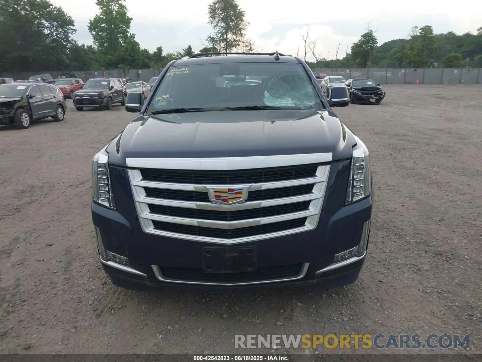 12 Photograph of a damaged car 1GYS4BKJ5KR232620 CADILLAC ESCALADE 2019