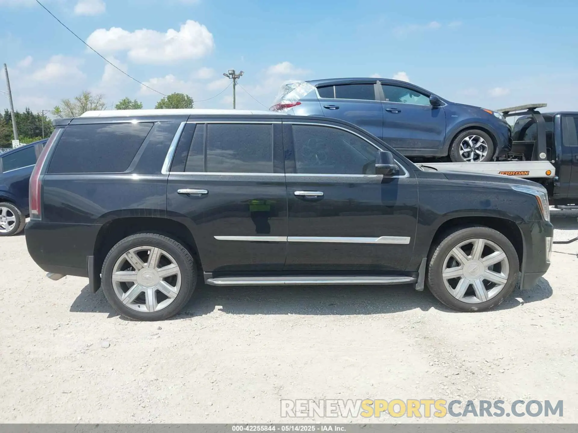 12 Photograph of a damaged car 1GYS4CKJ3KR234145 CADILLAC ESCALADE 2019