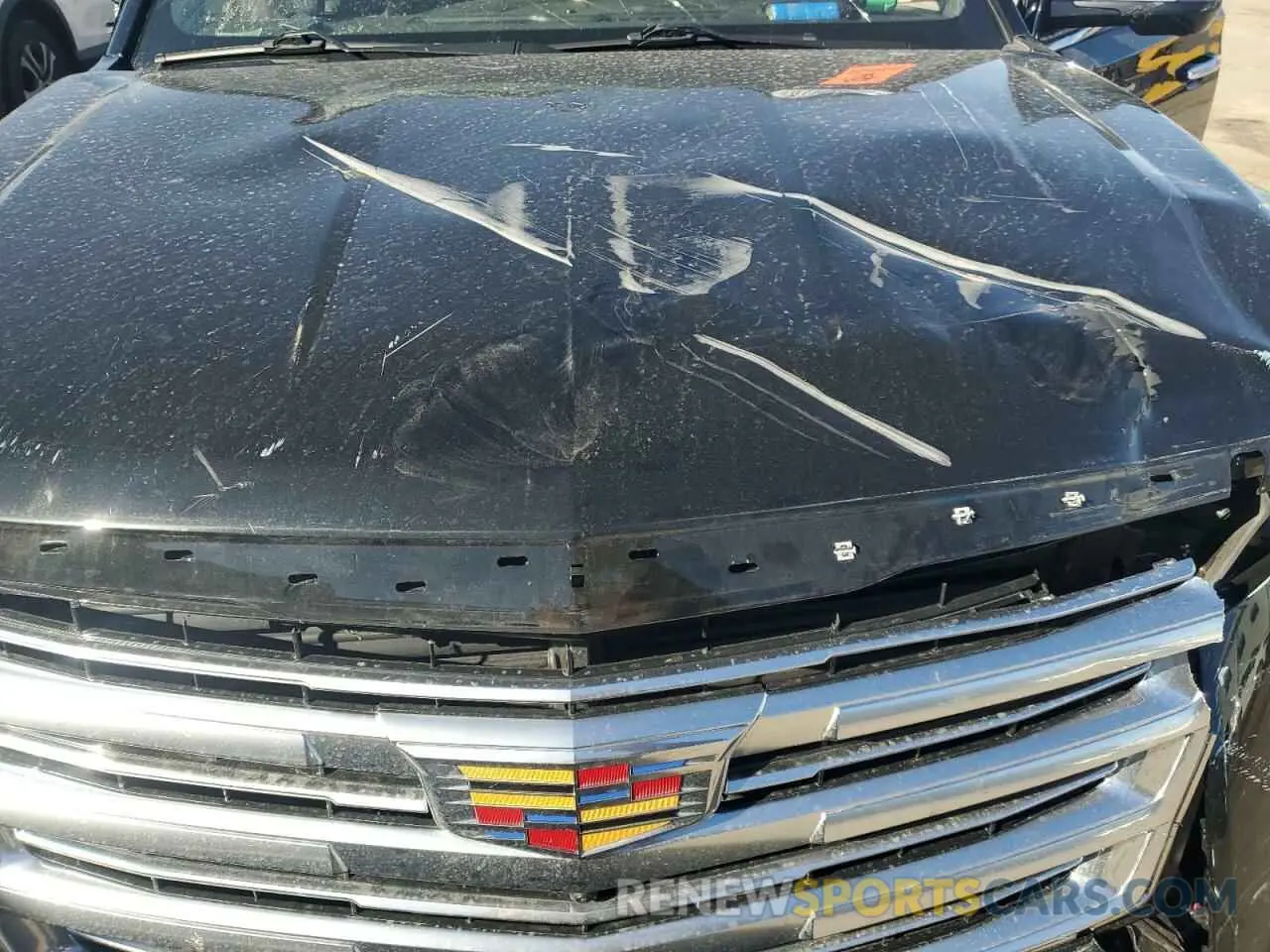 12 Photograph of a damaged car 1GYS4DKJ6KR155879 CADILLAC ESCALADE 2019