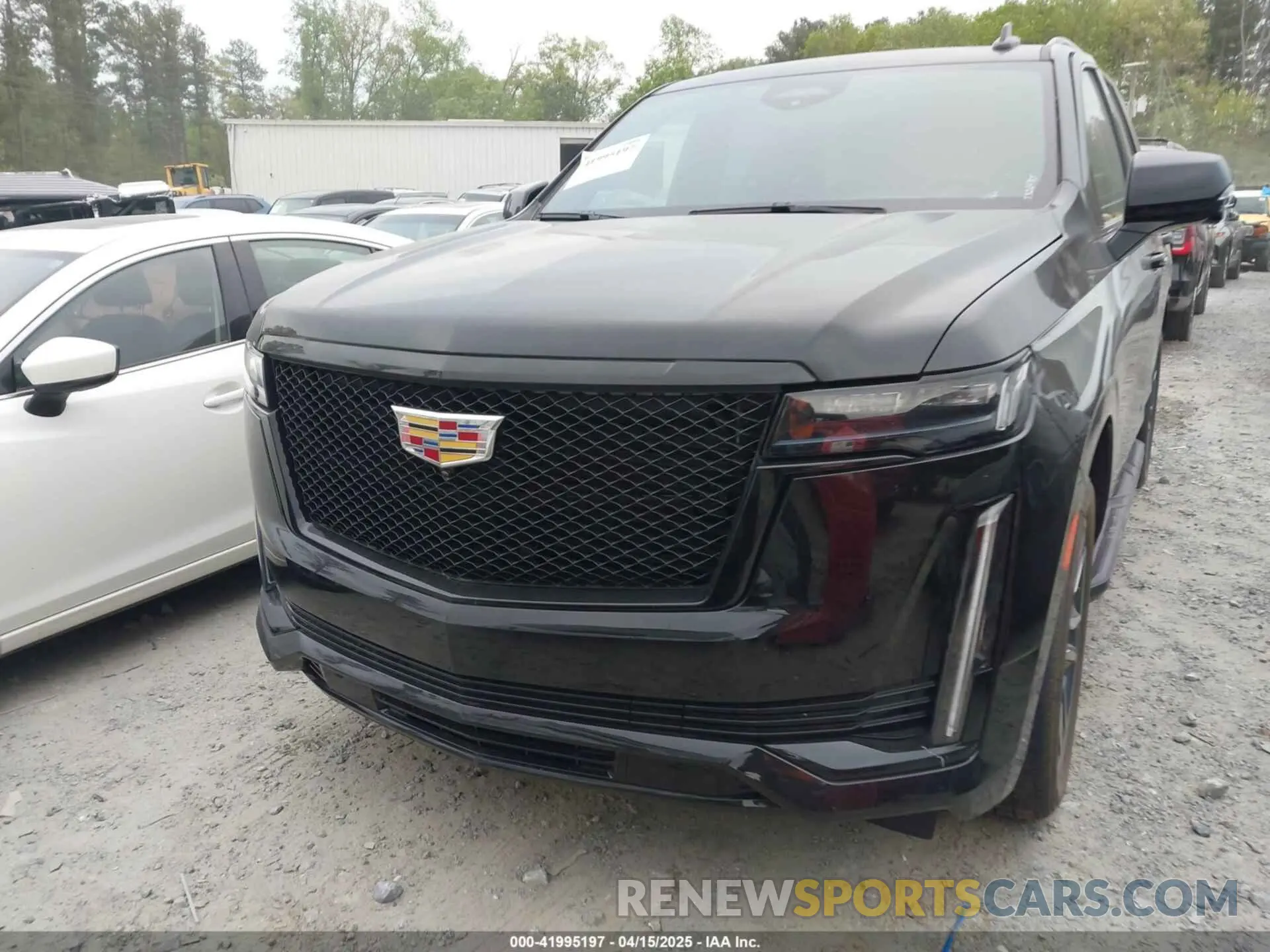 12 Photograph of a damaged car 1GYS4EKL5PR444623 CADILLAC ESCALADE 2023