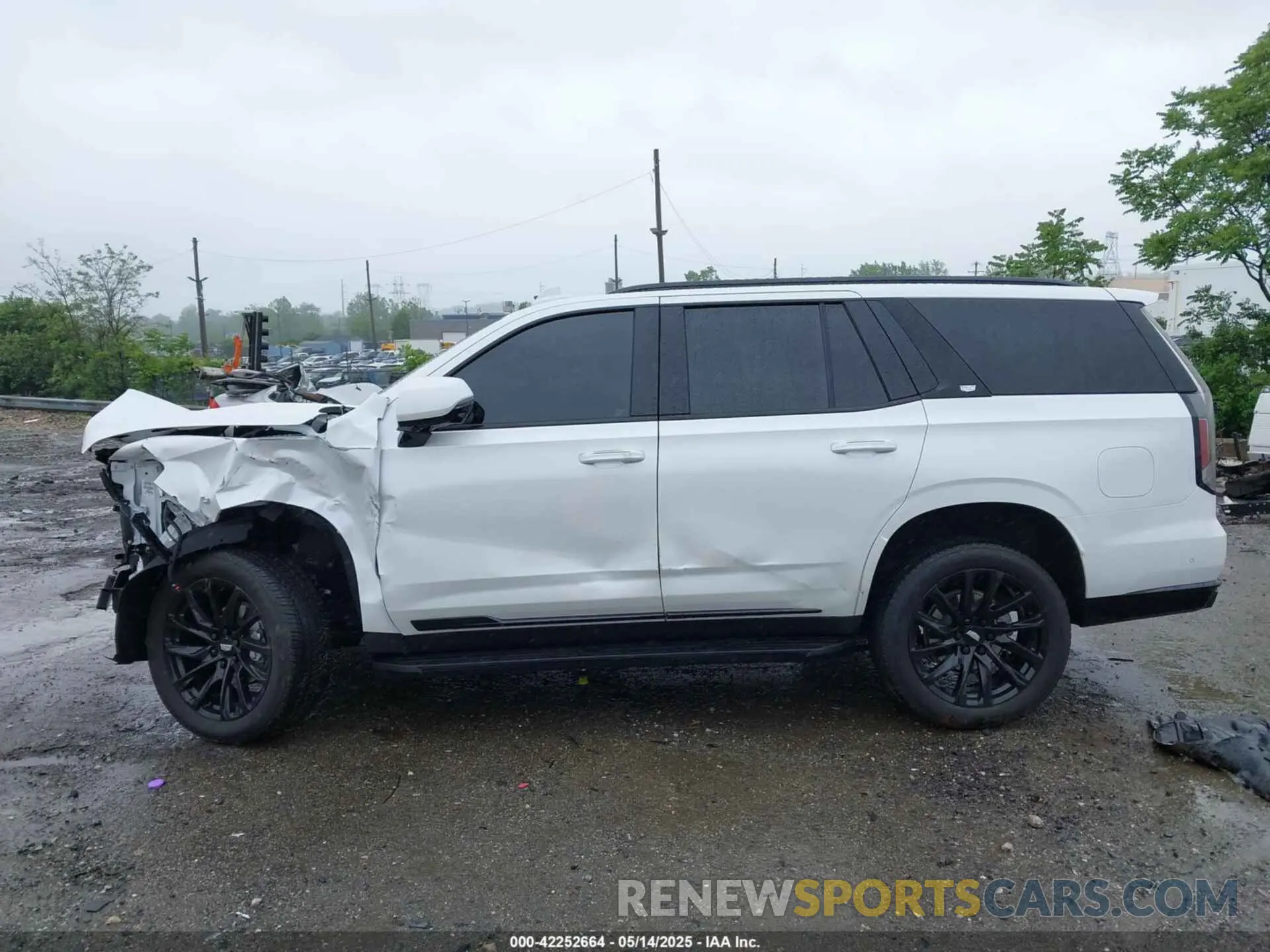 14 Photograph of a damaged car 1GYS4EKL1RR351567 CADILLAC ESCALADE 2024