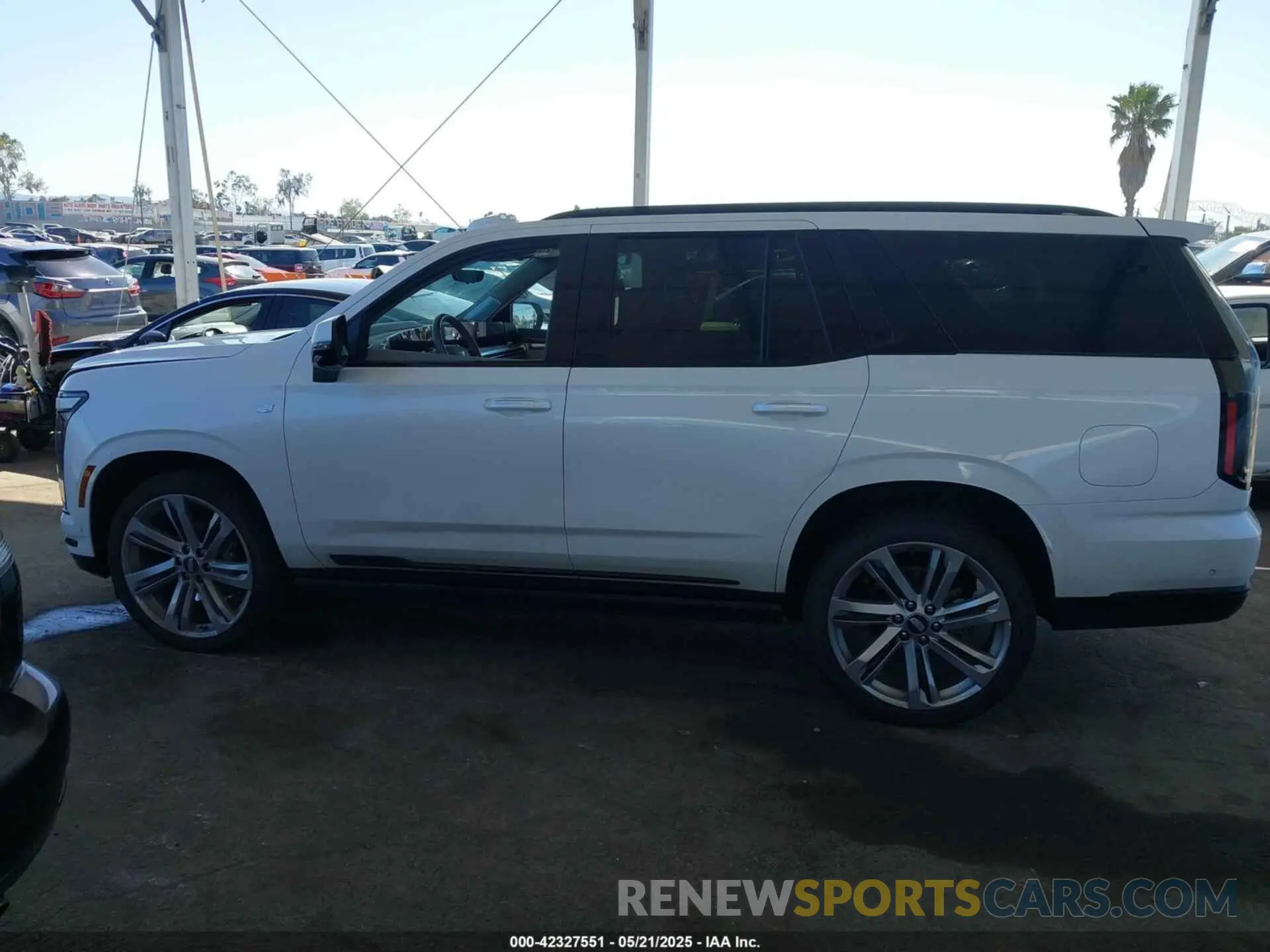 14 Photograph of a damaged car 1GYS9GRL5SR121703 CADILLAC ESCALADE 2025
