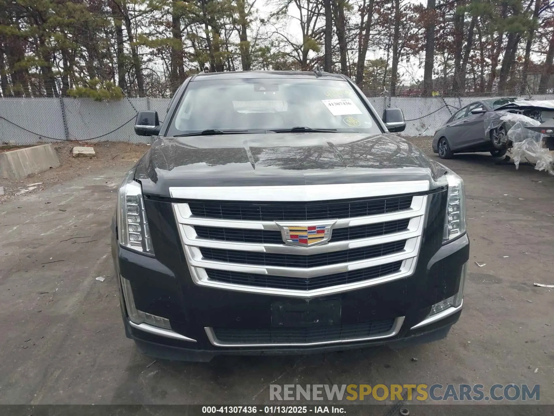 12 Photograph of a damaged car 1GYS4HKJ5KR113873 CADILLAC ESCALADE ESV 2019