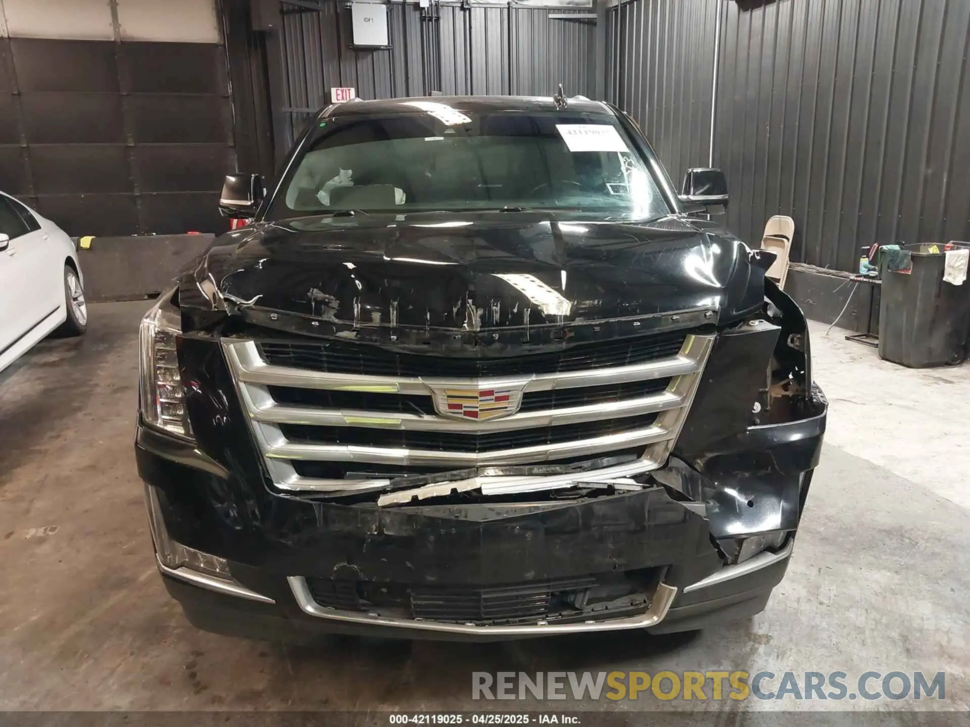 12 Photograph of a damaged car 1GYS4HKJ7KR113180 CADILLAC ESCALADE ESV 2019