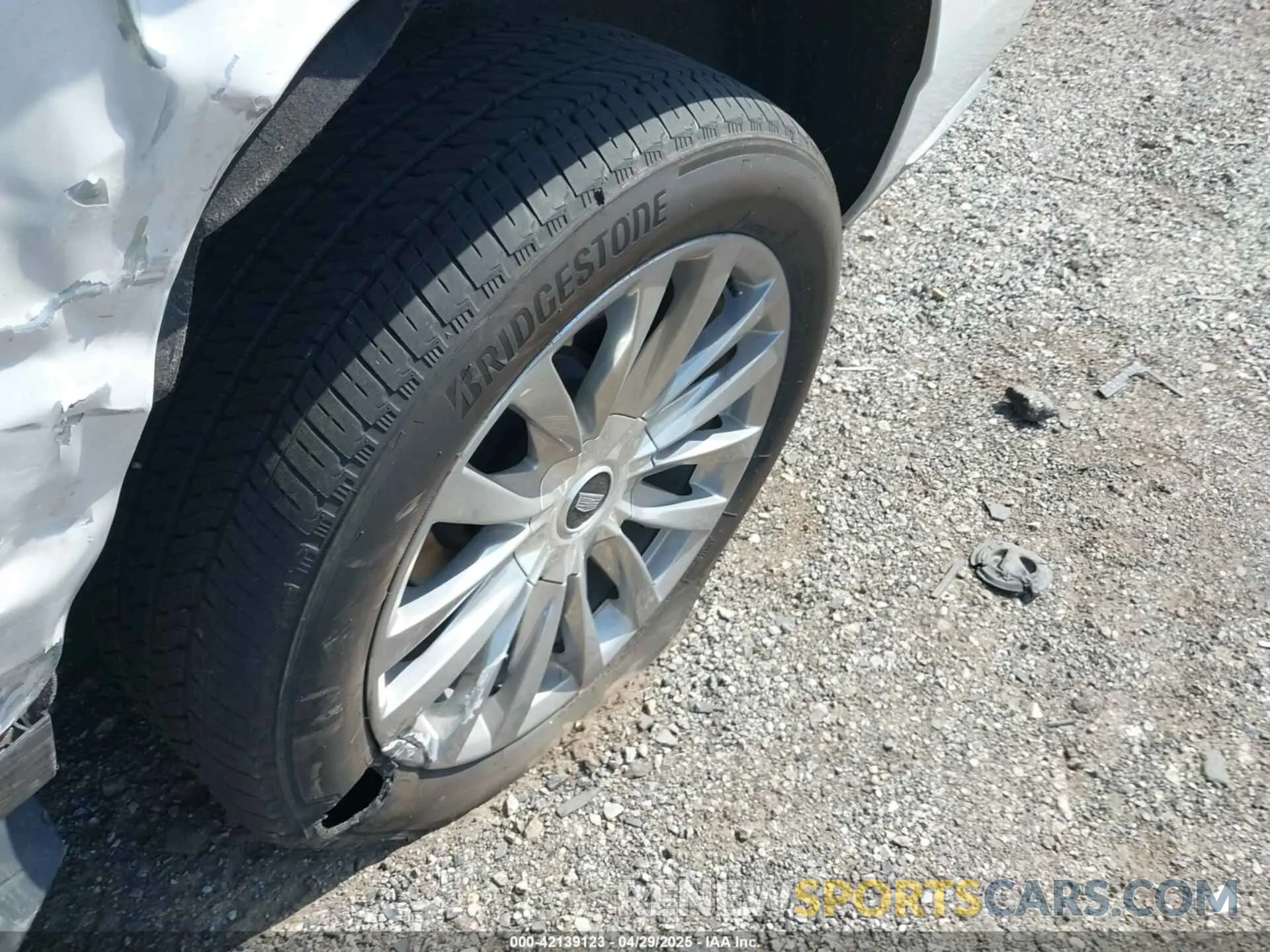 12 Photograph of a damaged car 1GYS4KKLXMR431568 CADILLAC ESCALADE ESV 2021