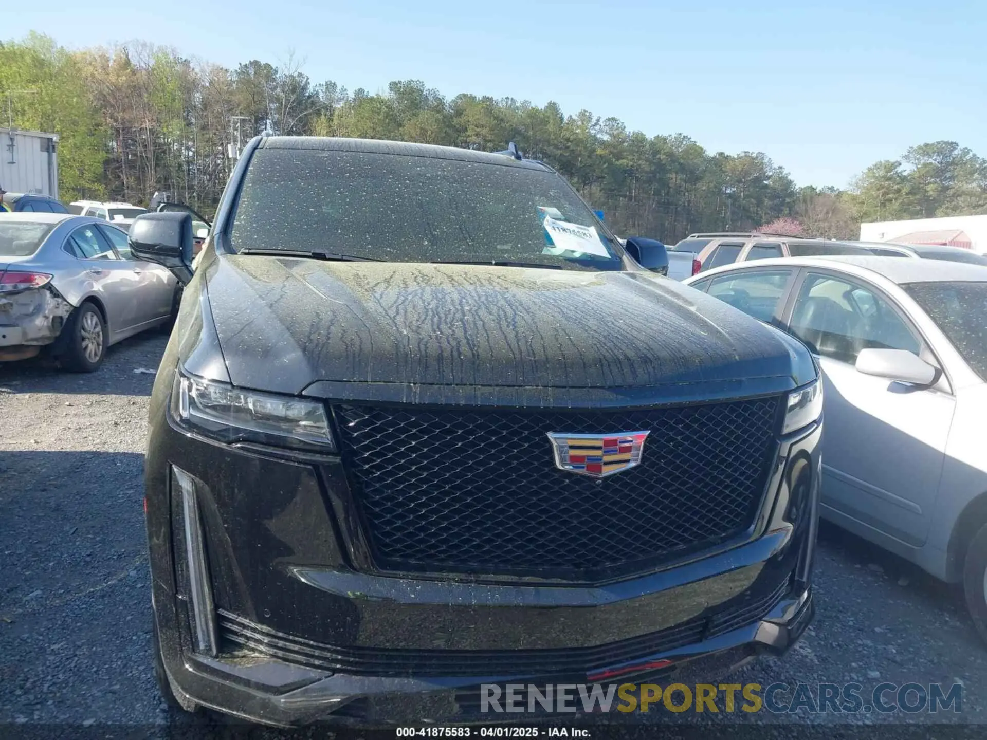 12 Photograph of a damaged car 1GYS4NKL4PR326031 CADILLAC ESCALADE ESV 2023