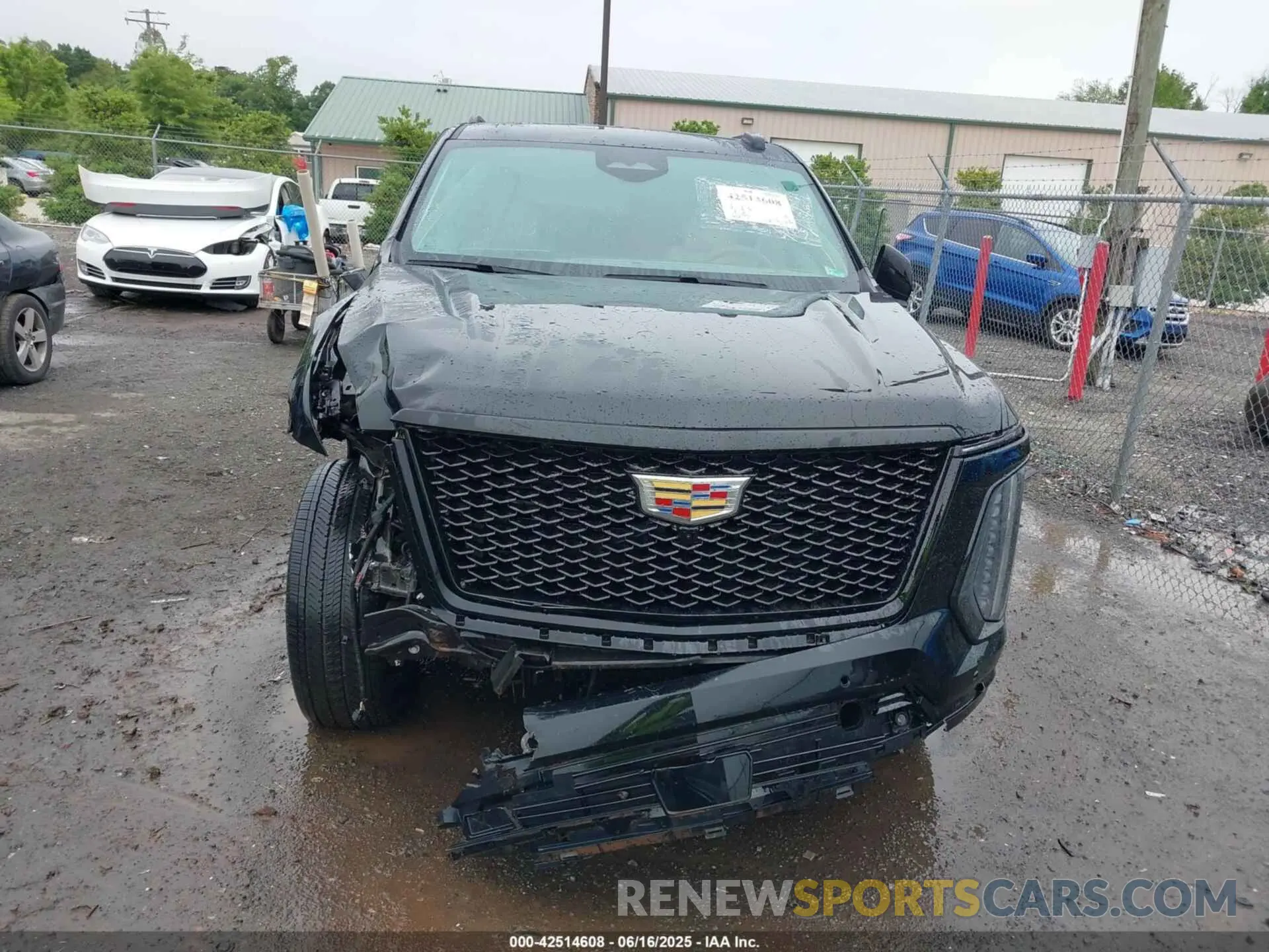 12 Photograph of a damaged car 1GYS9RRL8SR296118 CADILLAC ESCALADE ESV 2025