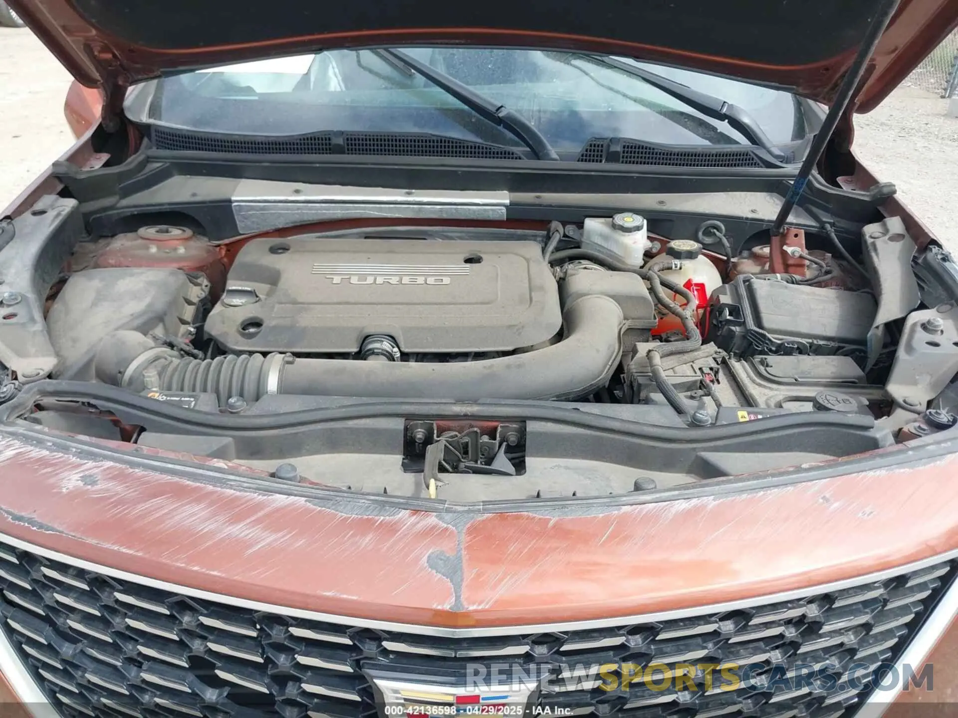 10 Photograph of a damaged car 1GYFZDR45KF183306 CADILLAC XT4 2019