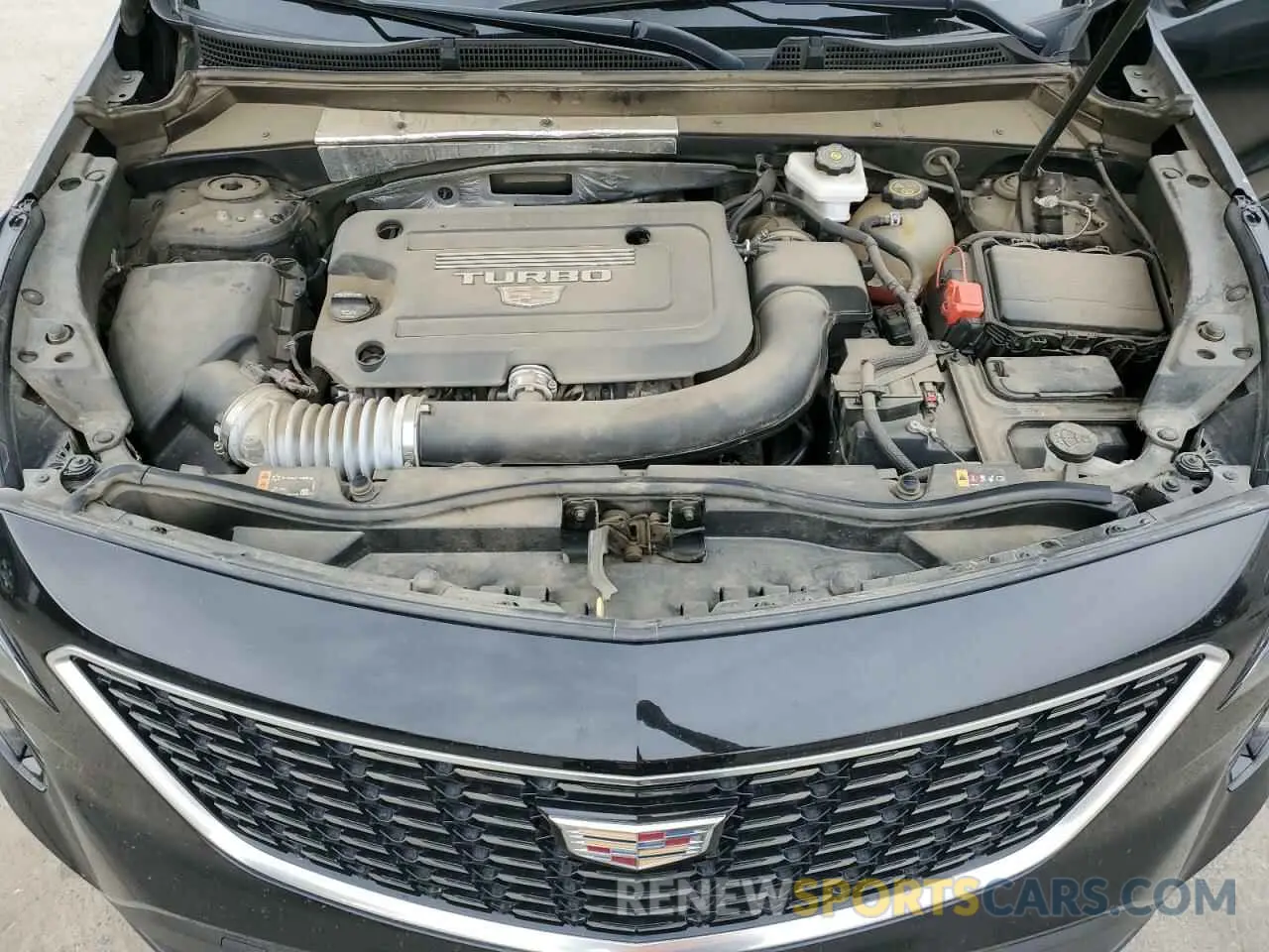 12 Photograph of a damaged car 1GYAZAR42NF120533 CADILLAC XT4 2022
