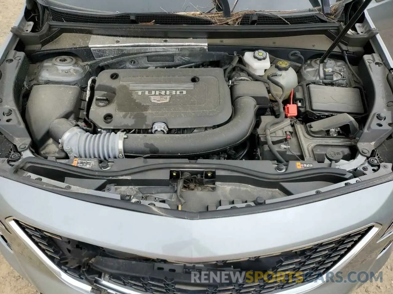 12 Photograph of a damaged car 1GYAZAR4XPF171491 CADILLAC XT4 2023
