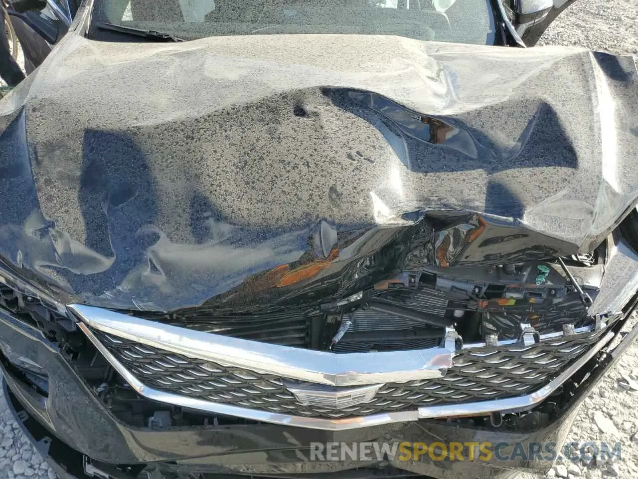 12 Photograph of a damaged car 1GYFZCR40SF126201 CADILLAC XT4 2025