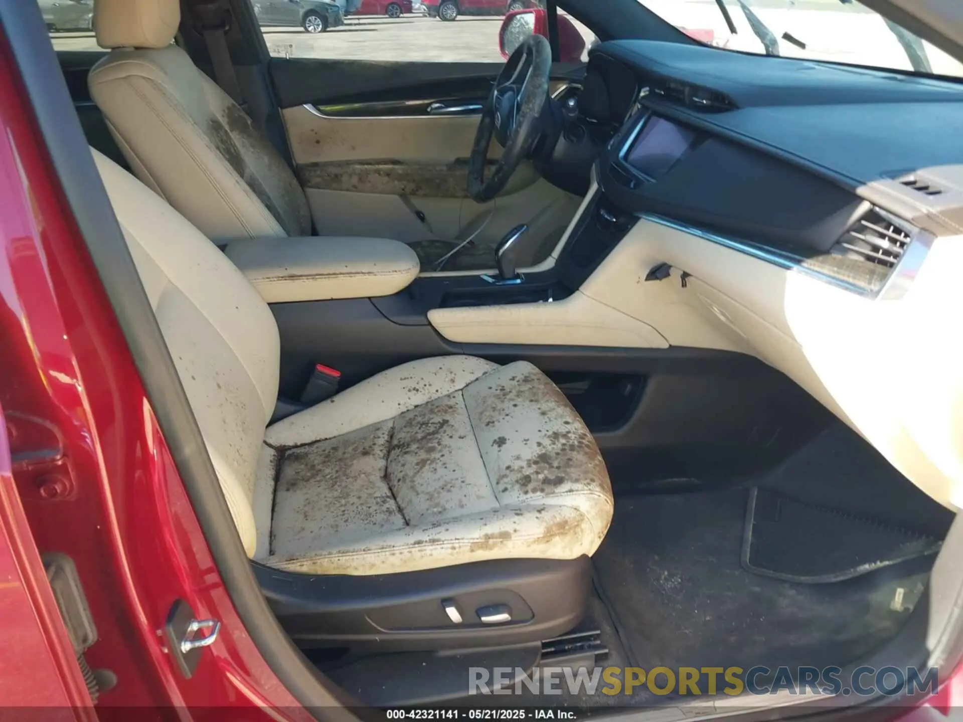12 Photograph of a damaged car 1GYKNARS9KZ173920 CADILLAC XT5 2019