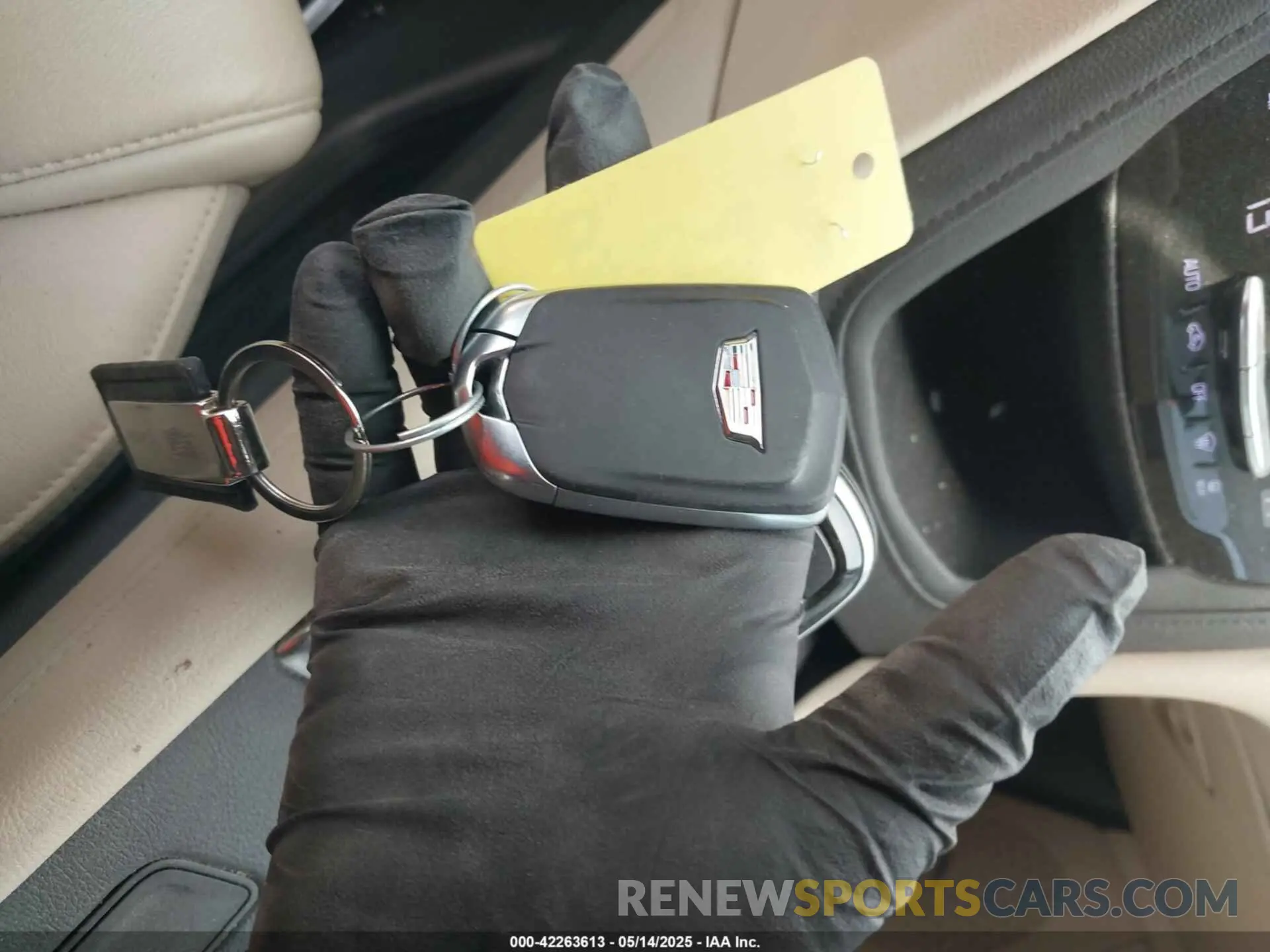 11 Photograph of a damaged car 1GYKNCRS2KZ210656 CADILLAC XT5 2019