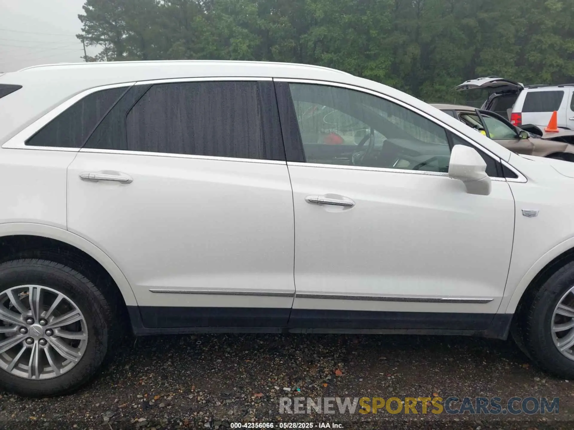 13 Photograph of a damaged car 1GYKNCRS7KZ241692 CADILLAC XT5 2019