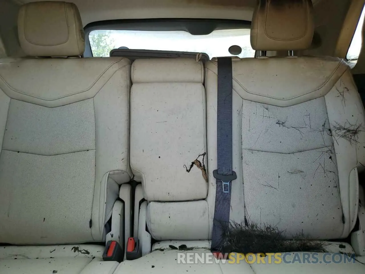 10 Photograph of a damaged car 1GYKNDRS1KZ135082 CADILLAC XT5 2019