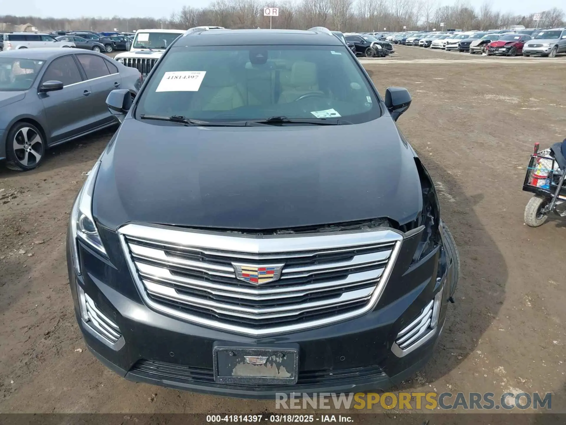12 Photograph of a damaged car 1GYKNDRS5KZ172975 CADILLAC XT5 2019