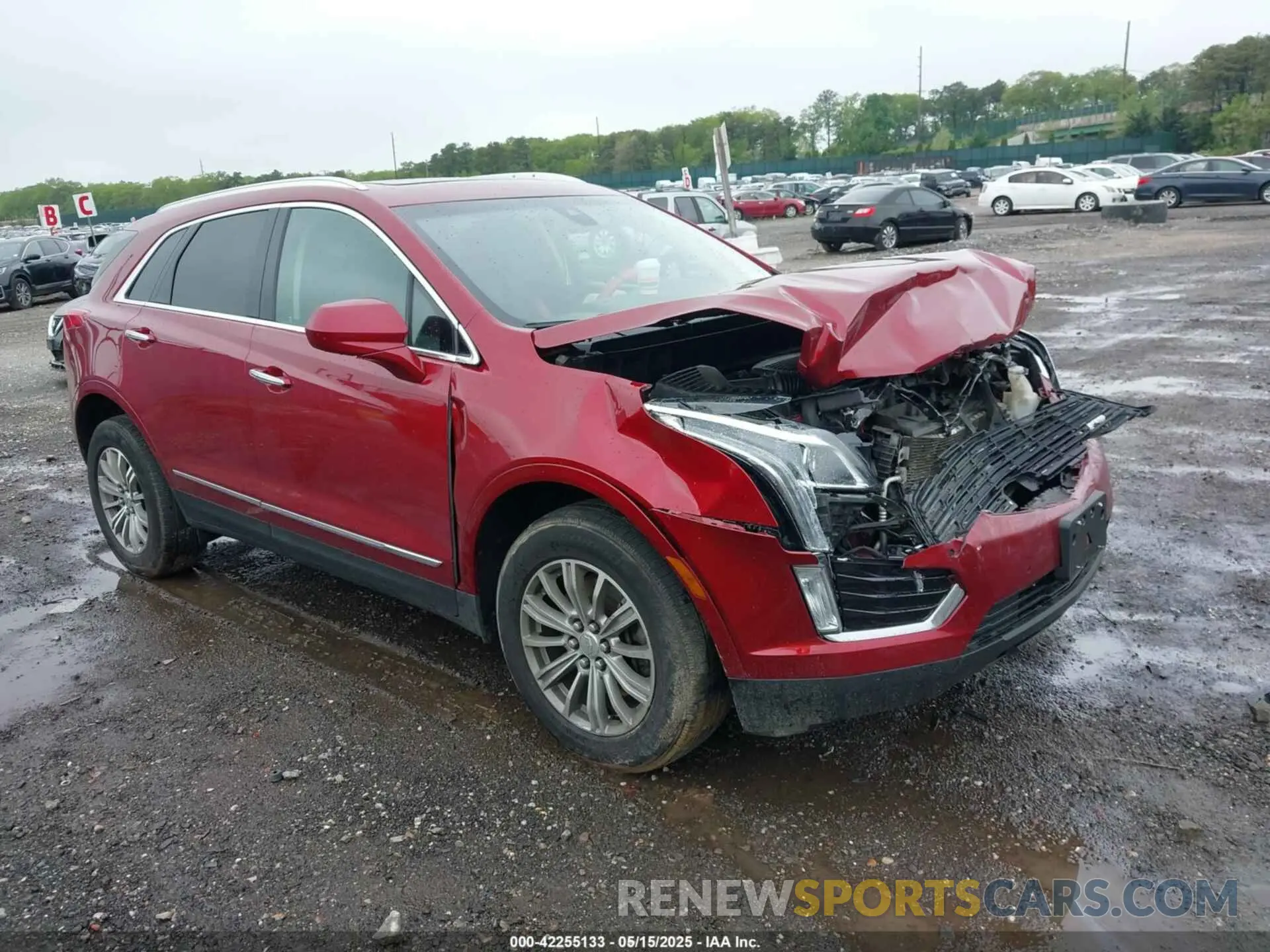 1 Photograph of a damaged car 1GYKNDRS6KZ132968 CADILLAC XT5 2019