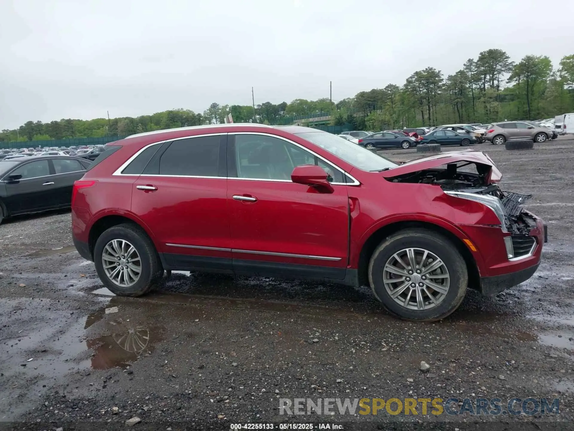 13 Photograph of a damaged car 1GYKNDRS6KZ132968 CADILLAC XT5 2019