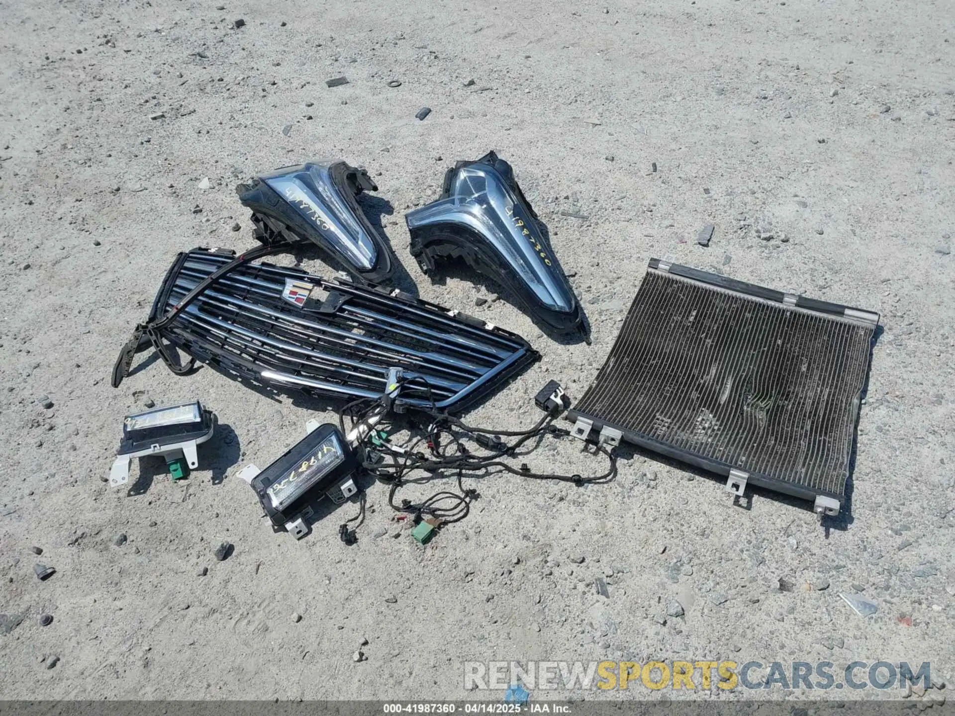 12 Photograph of a damaged car 1GYKNDRS9KZ235687 CADILLAC XT5 2019