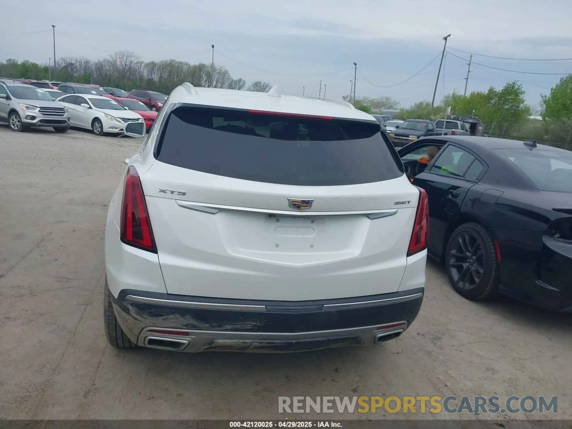 17 Photograph of a damaged car 1GYKNCR49LZ239803 CADILLAC XT5 2020
