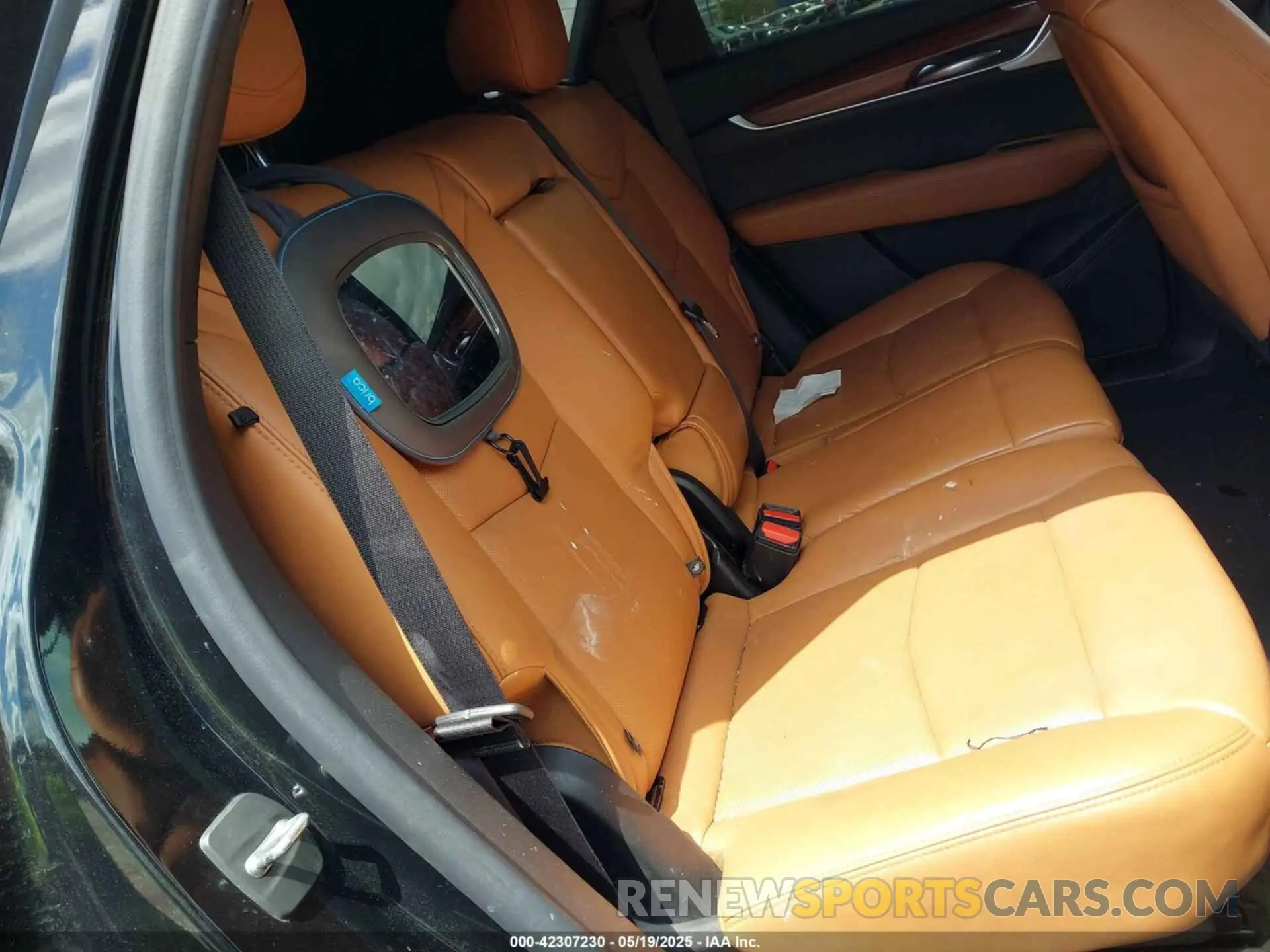 8 Photograph of a damaged car 1GYKNDRS7LZ106526 CADILLAC XT5 2020