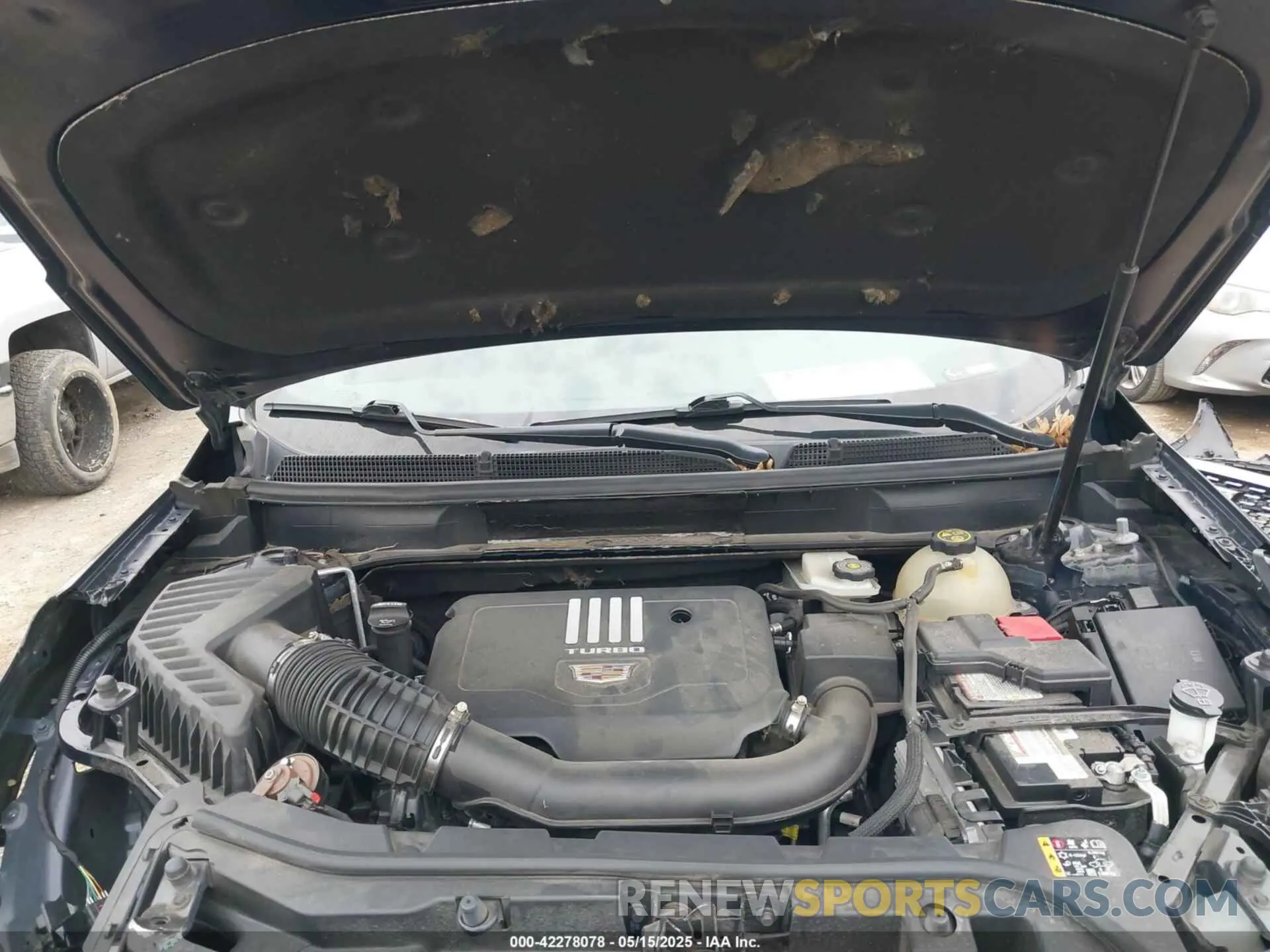 10 Photograph of a damaged car 1GYKNAR42MZ131870 CADILLAC XT5 2021