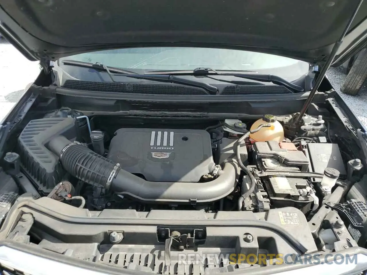 12 Photograph of a damaged car 1GYKNAR46NZ144896 CADILLAC XT5 2022