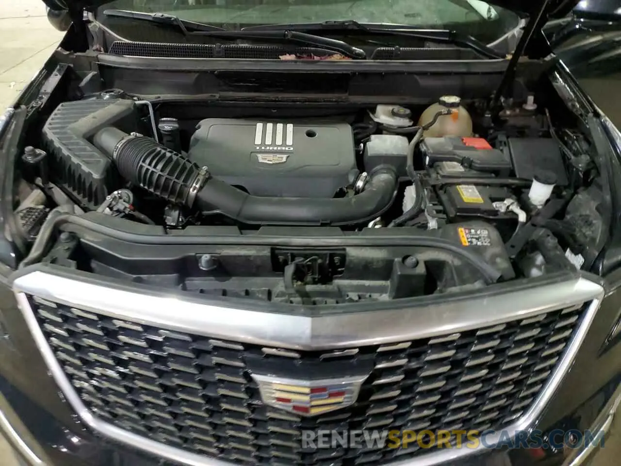 12 Photograph of a damaged car 1GYKNBR46NZ173918 CADILLAC XT5 2022