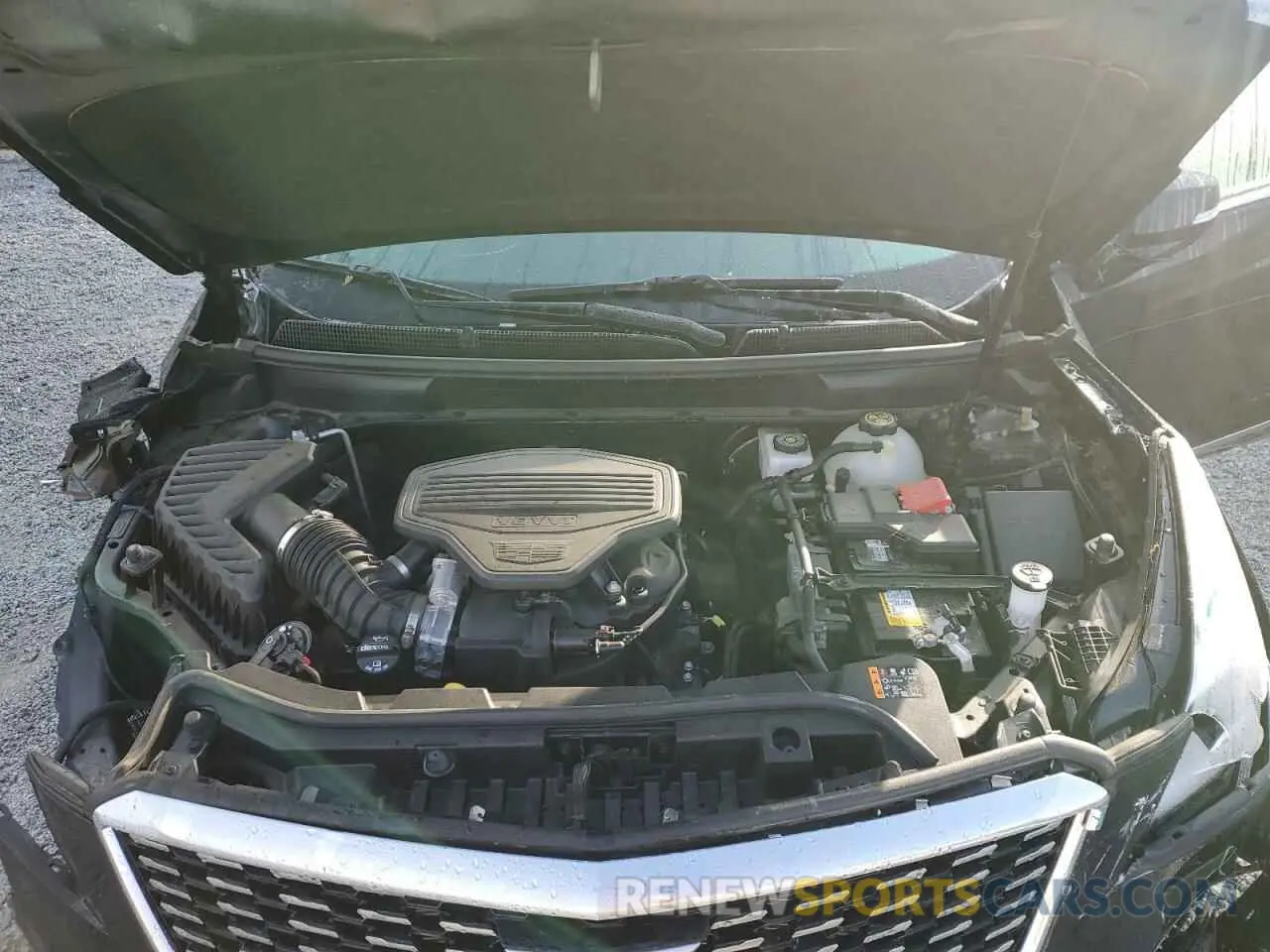12 Photograph of a damaged car 1GYKNDRS8NZ114427 CADILLAC XT5 2022