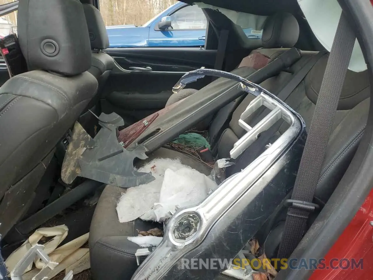 11 Photograph of a damaged car 1GYKNDRSXPZ142488 CADILLAC XT5 2023