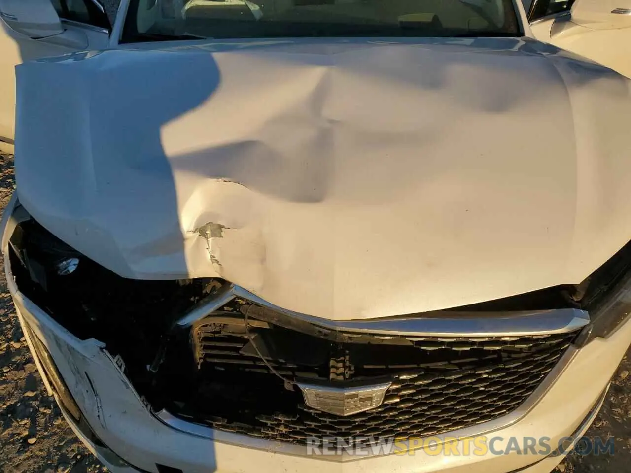 12 Photograph of a damaged car 1GYKPCRS6NZ148919 CADILLAC XT6 2022