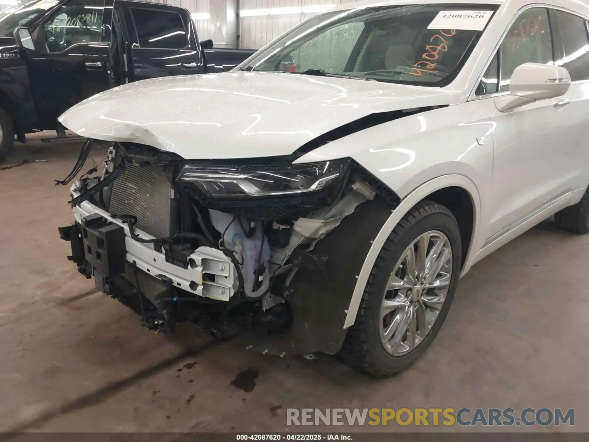 19 Photograph of a damaged car 1GYKPDRS3NZ131095 CADILLAC XT6 2022