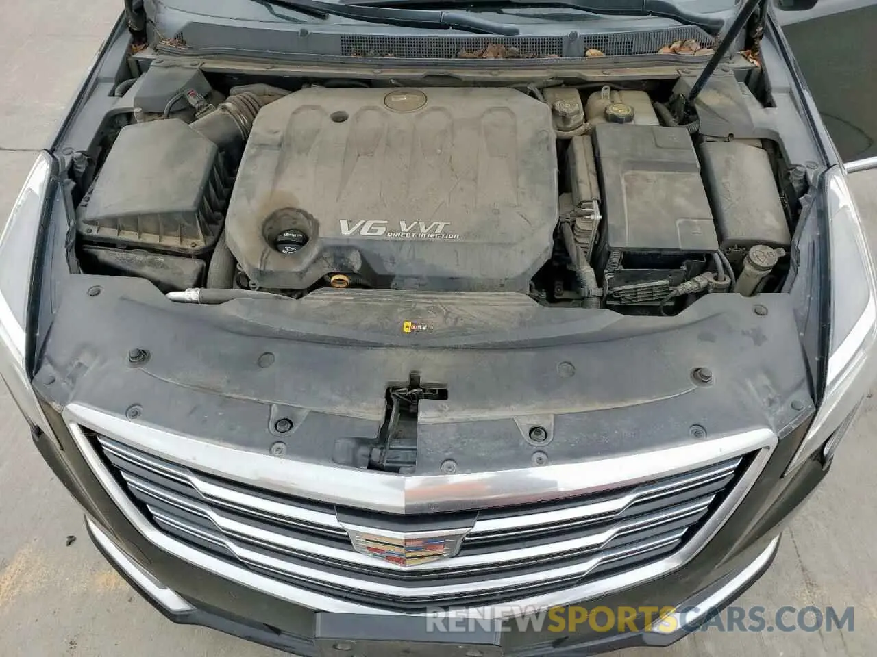 11 Photograph of a damaged car 2G61M5S30K9133673 CADILLAC XTS 2019