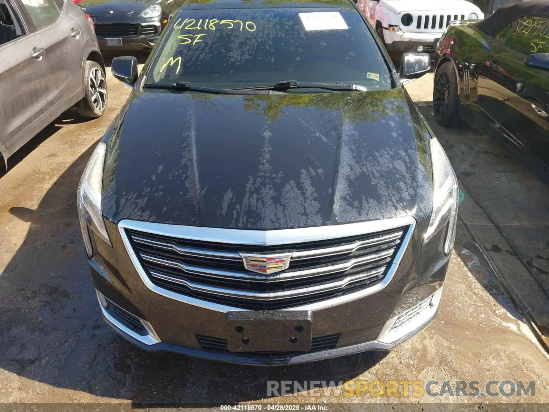 12 Photograph of a damaged car 2G61M5S38K9139513 CADILLAC XTS 2019