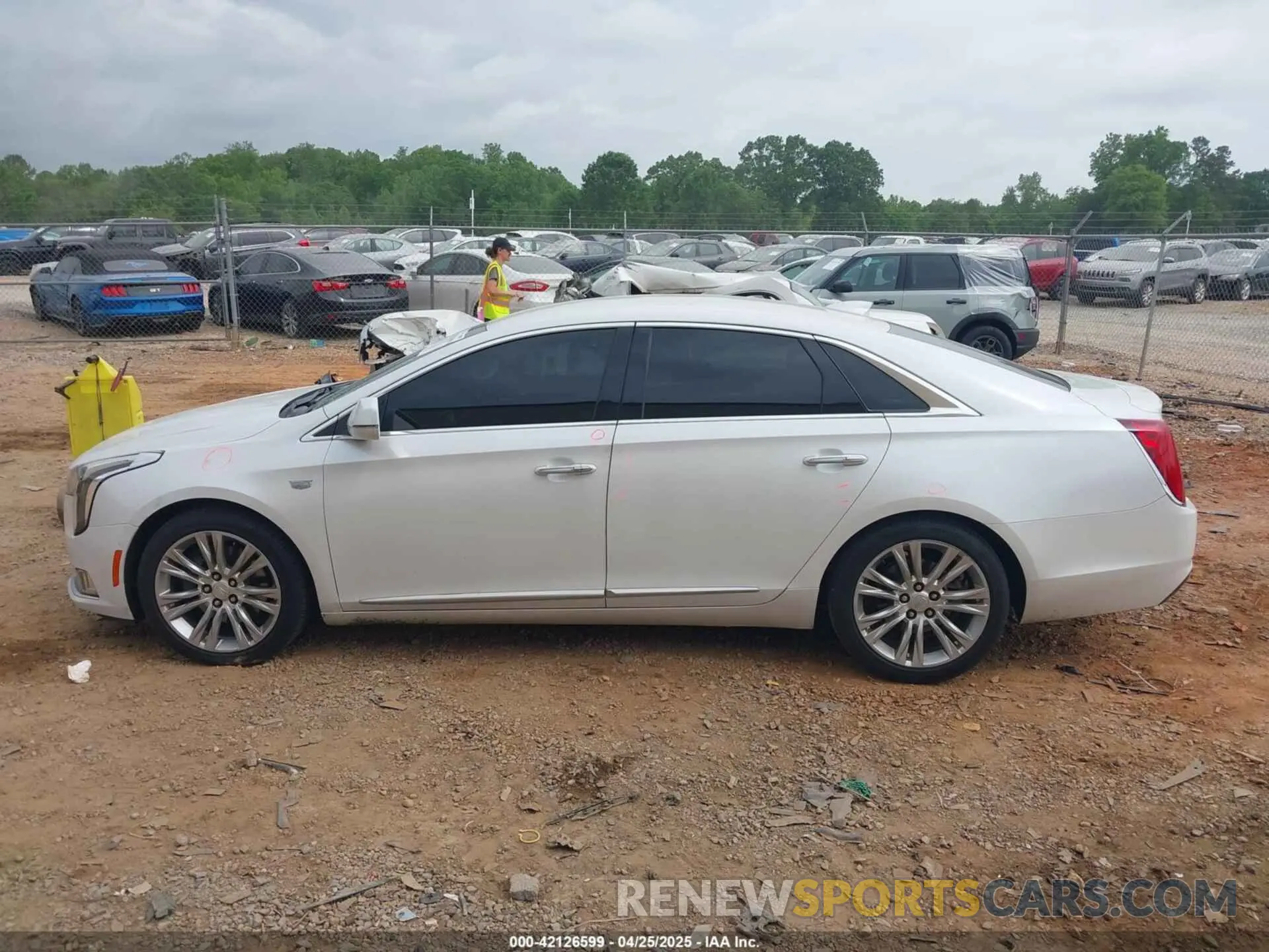 14 Photograph of a damaged car 2G61M5S39K9122039 CADILLAC XTS 2019