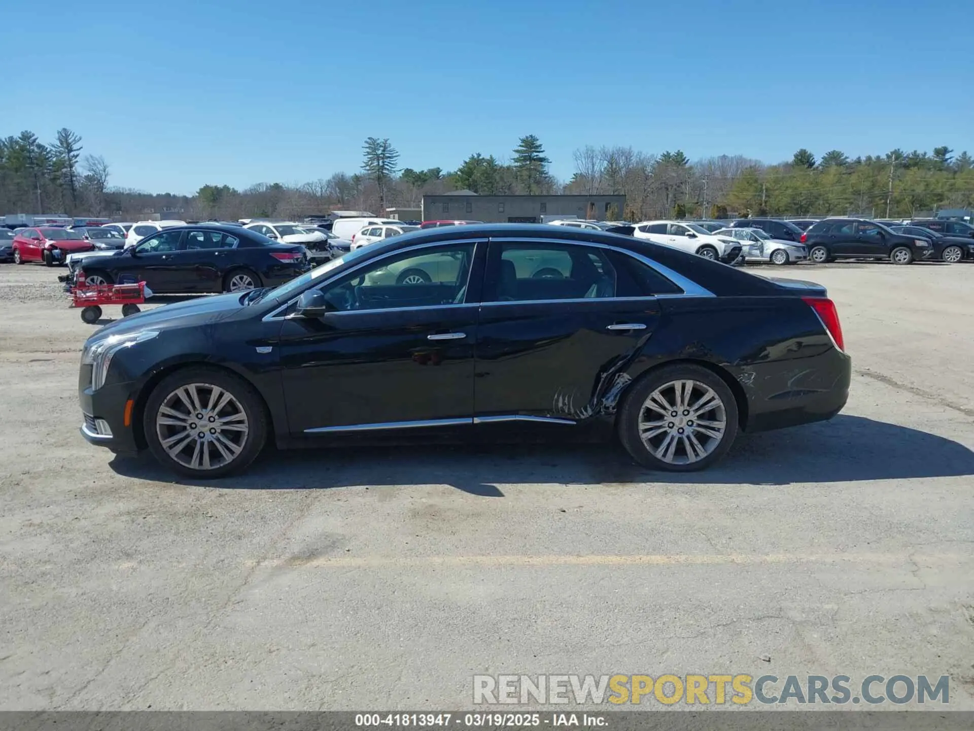 14 Photograph of a damaged car 2G61M5S39K9133767 CADILLAC XTS 2019
