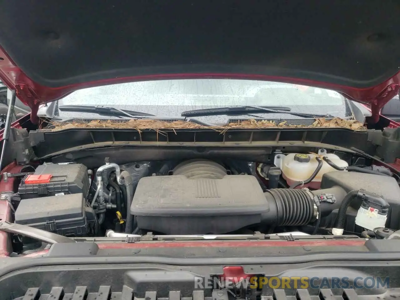 11 Photograph of a damaged car 1GCPACED8PZ306006 CHEVROLET ALL Models 2023