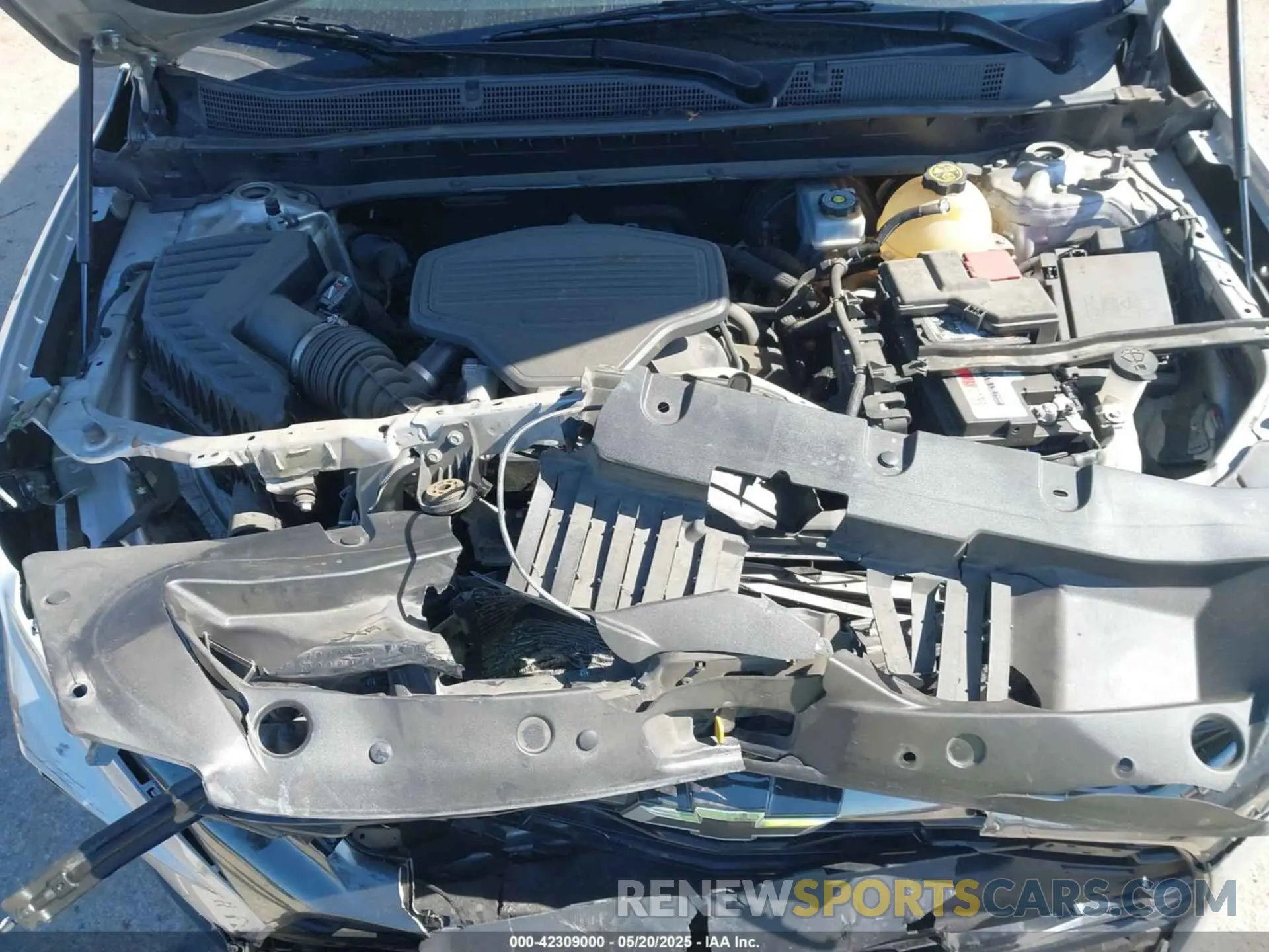10 Photograph of a damaged car 3GNKBERS4KS678029 CHEVROLET BLAZER 2019