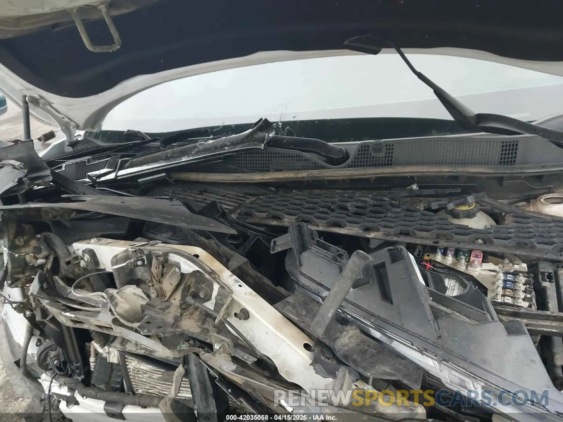 10 Photograph of a damaged car 3GNKBERS8KS647477 CHEVROLET BLAZER 2019