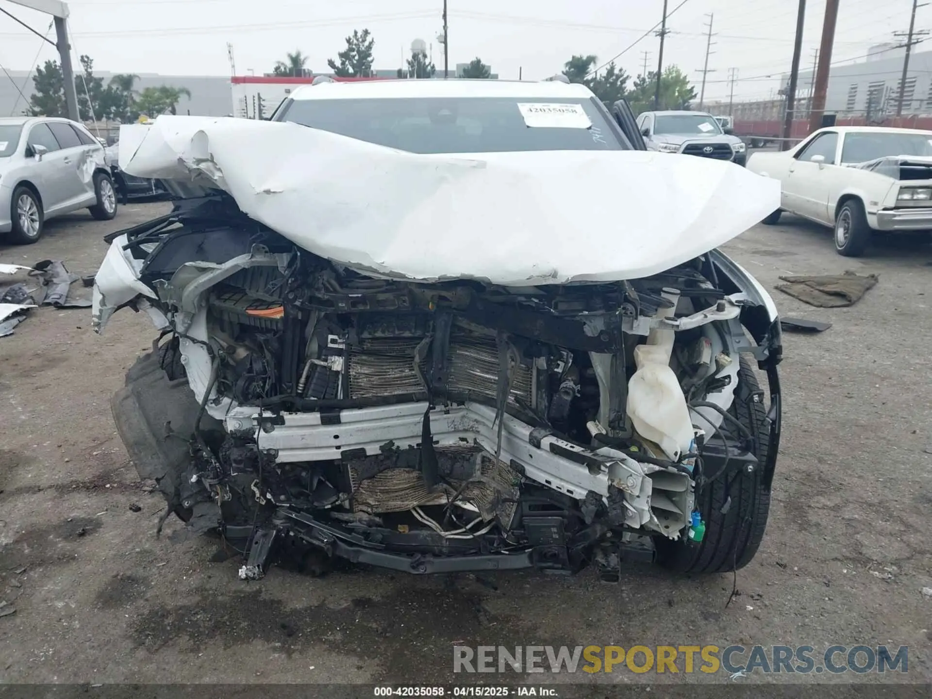 12 Photograph of a damaged car 3GNKBERS8KS647477 CHEVROLET BLAZER 2019