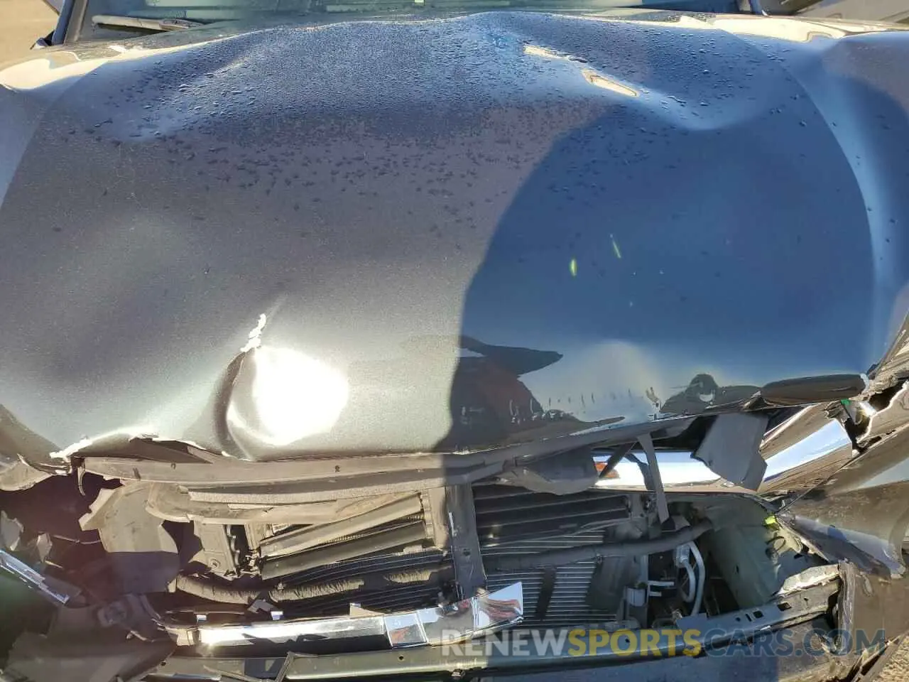 12 Photograph of a damaged car 3GNKBHRS9KS589803 CHEVROLET BLAZER 2019