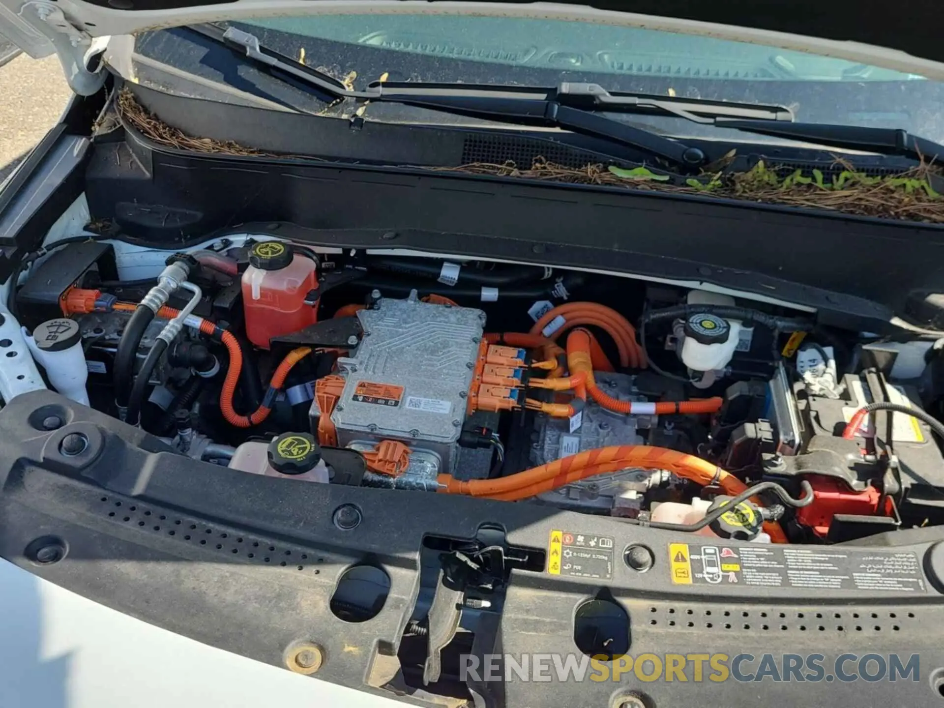 40 Photograph of a damaged car 1G1FY6S04N4117835 CHEVROLET BOLT EUV 2022