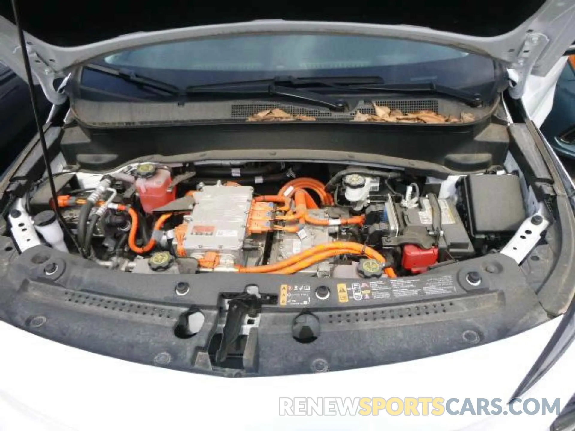 16 Photograph of a damaged car 1G1FY6S05N4125216 CHEVROLET BOLT EUV 2022